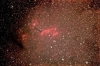 IC4628_Prawn.jpg