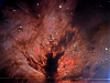 NGC2024x15.jpg