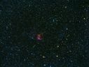 NGC2359_TAK_5x8.jpg