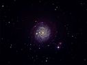 NGC3344_8x12.jpg
