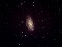 NGC3953_10x12.jpg