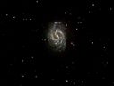 Filename=NGC4535_10x8.jpg
Filesize=40KiB
Dimensions=1023x773
Date added=Mar 31, 2013 NGC4535_10x8.jpg