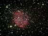 Sh_2-301.jpg