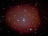Sh_2-313_7X12.jpg