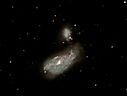 NGC4490_CDK.jpg